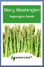 Load image into Gallery viewer, Mary Washington Asparagus Seeds | NON-GMO | Instant Latch Fresh Garden Seeds