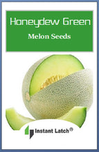 Load image into Gallery viewer, Honeydew Green Melon Seeds | NON-GMO | Instant Latch Fresh Garden Seeds