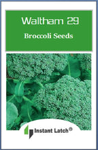 Load image into Gallery viewer, Broccoli Seeds for Planting NON-GMO Instant Latch Fresh Garden Seeds