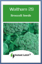 Load image into Gallery viewer, Broccoli Seeds | NON-GMO | Instant Latch Fresh Garden Seeds