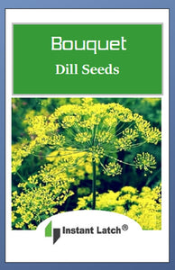 Bouquet Dill Seeds | NON-GMO | Instant Latch Fresh Garden Seeds
