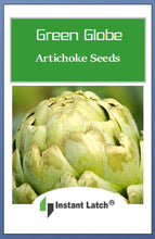 Load image into Gallery viewer, Green Globe Artichoke Seeds | NON-GMO | Fresh Garden Seeds