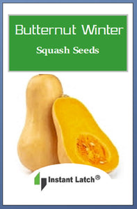 Butternut Winter Squash Seeds | NON-GMO | Fresh Garden Seeds