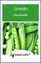 Load image into Gallery viewer, Lincoln Pea Seeds for Planting NON-GMO Fresh Garden Seeds