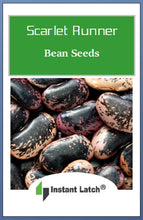 Load image into Gallery viewer, Scarlet Runner Bean Seeds | NON-GMO | Fresh Garden Seeds