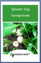 Load image into Gallery viewer, Seven Top Turnip Seeds | NON_GMO | Fresh Garden Seeds