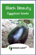 Load image into Gallery viewer, Black Beauty Eggplant Seeds for Planting NON-GMO Fresh Garden Seeds
