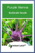 Load image into Gallery viewer, Purple Vienna Kohlrabi Seeds | NON-GMO | Fresh Garden Seeds