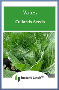 Vates Collards Seeds | NON-GMO | Fresh Garden Seeds