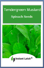 Load image into Gallery viewer, Tendergreen Mustard Spinach Seeds | NON-GMO | Fresh Garden Seeds