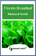 Load image into Gallery viewer, Florida Broadleaf Mustard Seeds | NON-GMO | Fresh Garden Seeds