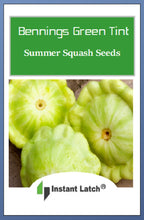 Load image into Gallery viewer, Bennings Green Tint Summer Squash Seeds | NON-GMO | Heirloom |Fresh Garden Seeds