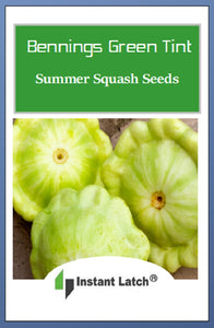 Bennings Green Tint Summer Squash Seeds | NON-GMO | Heirloom |Fresh Garden Seeds