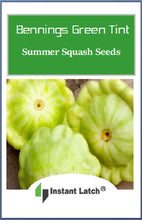 Load image into Gallery viewer, Bennings Green Tint Summer Squash Seeds | NON-GMO | Heirloom |Fresh Garden Seeds
