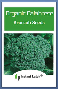 Organic Calabrese Green Sprouting Broccoli Seeds | NON-GMO | Fresh Garden Seeds