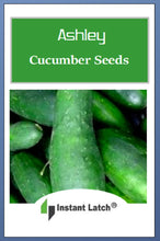 Load image into Gallery viewer, Ashley Cucumber Seeds | NON-GMO | Heirloom | Fresh Garden Seeds