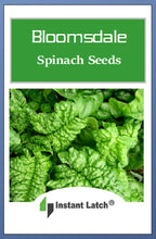 Load image into Gallery viewer, Bloomsdale Long Standing Spinach Seeds | NON-GMO | Heirloom | Fresh Garden Seeds