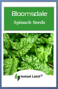 Bloomsdale Long Standing Spinach Seeds | NON-GMO | Heirloom | Fresh Garden Seeds