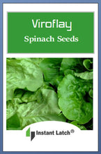 Load image into Gallery viewer, Viroflay Spinach Seeds | NON-GMO | Heirloom | Fresh Garden Seeds