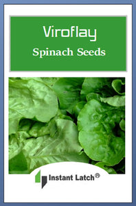 Viroflay Spinach Seeds | NON-GMO | Heirloom | Fresh Garden Seeds