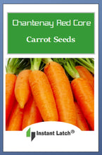 Load image into Gallery viewer, Chantenay Red Core Carrot Seeds | NON-GMO | Heirloom | Fresh Garden Seeds