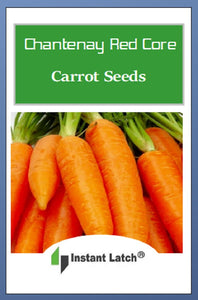 Chantenay Red Core Carrot Seeds | NON-GMO | Heirloom | Fresh Garden Seeds