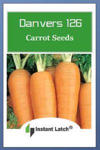 Danvers 126 Carrot Seeds | NON-GMO | Instant Latch Fresh Garden Seeds