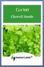 Load image into Gallery viewer, Curled Chervil Seeds | NON-GMO | Heirloom | Fresh Garden Seeds