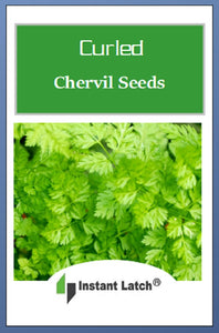 Curled Chervil Seeds | NON-GMO | Heirloom | Fresh Garden Seeds