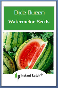 Dixie Queen Watermelon Seeds | NON-GMO | Heirloom | Fresh Garden Seeds