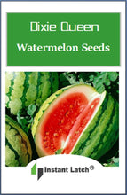 Load image into Gallery viewer, Dixie Queen Watermelon Seeds for Planting NON-GMO Heirloom Fresh Garden Seeds
