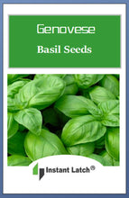 Load image into Gallery viewer, Genovese Basil Seeds | NON-GMO | Heirloom | Fresh Garden Seeds