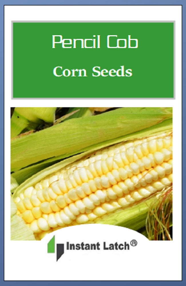 Pencil Cob Corn Seeds | Heirloom | Fresh Garden Seeds – Instant Latch