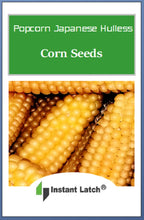 Load image into Gallery viewer, Popcorn Japanese Hullness Corn Seeds | Heirloom | Fresh Garden Seeds
