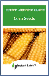 Popcorn Japanese Hullness Corn Seeds | Heirloom | Fresh Garden Seeds