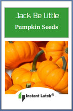 Load image into Gallery viewer, Jack Be Little Pumpkin Seeds | NON-GMO | Heirloom | Fresh Garden Seeds
