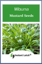 Load image into Gallery viewer, Mibuna Mustard Seeds | NON-GMO | Heirloom | Fresh Garden Seeds