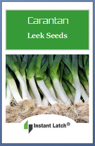 Carantan Leek Seeds | NON-GMO | Heirloom | Fresh Garden Seeds