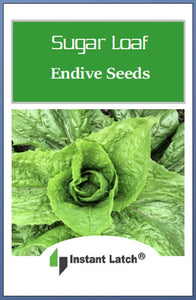 Sugar Loaf Endive Seeds | NON-GMO | Heirloom | Fresh Garden Seeds