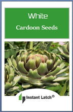 Load image into Gallery viewer, White Cardoon Seeds | NON-GMO | Heirloom | Fresh Garden Seeds