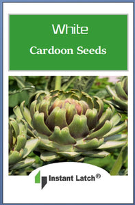 White Cardoon Seeds | NON-GMO | Heirloom | Fresh Garden Seeds
