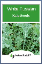 Load image into Gallery viewer, White Russian Kale Seeds | NON-GMO | Heirloom | Fresh Garden Seeds