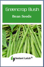 Load image into Gallery viewer, Greencrop Bush Bean Seeds for Planting NON-GMO Heirloom Fresh Garden Seeds