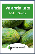 Load image into Gallery viewer, Valencia Late Melon Seeds for Planting NON-GMO Heirloom Fresh Garden Seeds