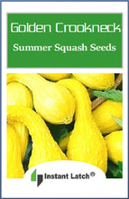 Load image into Gallery viewer, Crookneck Golden Summer Squash Seeds for Planting NON-GMO Heirloom Fresh Garden Seeds