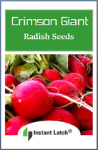 Load image into Gallery viewer, Crimson Giant Radish Seeds for Planting NON-GMO Heirloom Fresh Garden Seeds