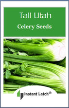 Load image into Gallery viewer, Tall Utah Celery Seeds for Planting NON-GMO Fresh Garden Seeds
