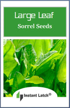 Load image into Gallery viewer, Large Leaf Sorrel Herb Seeds for Planting NON-GMO Heirloom Fresh Herb Seeds