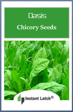 Load image into Gallery viewer, Oasis Chicory Seeds for Planting NON-GMO Heirloom Fresh Flower Seeds