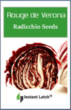 Load image into Gallery viewer, Radicchio Seeds for Planting Rouge de Verona Heirloom Fresh Garden Seeds